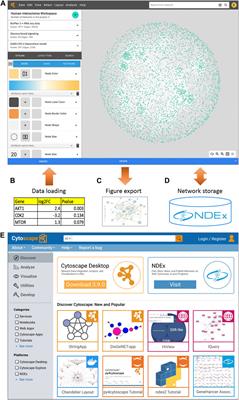 Translating desktop success to the web in the cytoscape project